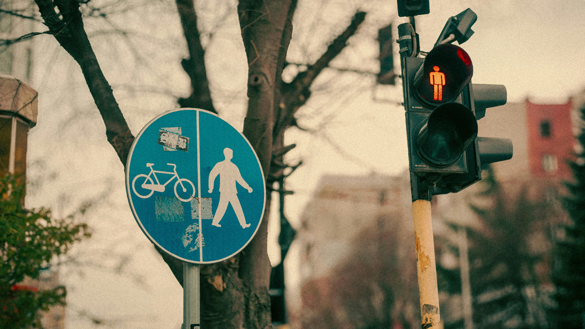 Northeast_Atlanta_Pedestrian_Killed_on_Cheshire_Bridge_Road_in_Latest_Accident