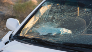 What to Do After a Head-On Northwest Atlanta Crash